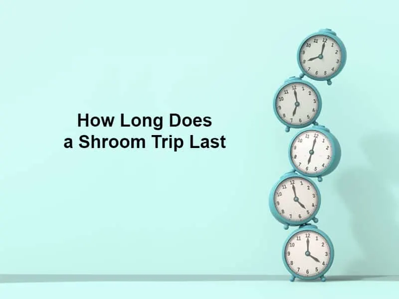How Long Does a Shroom Trip Last