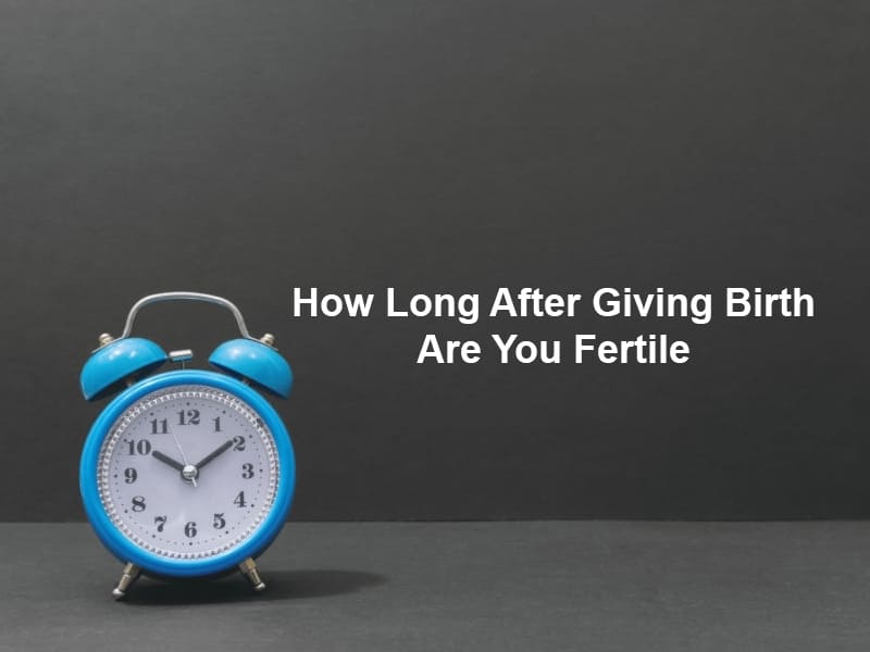How Long After Giving Birth Are You Fertile