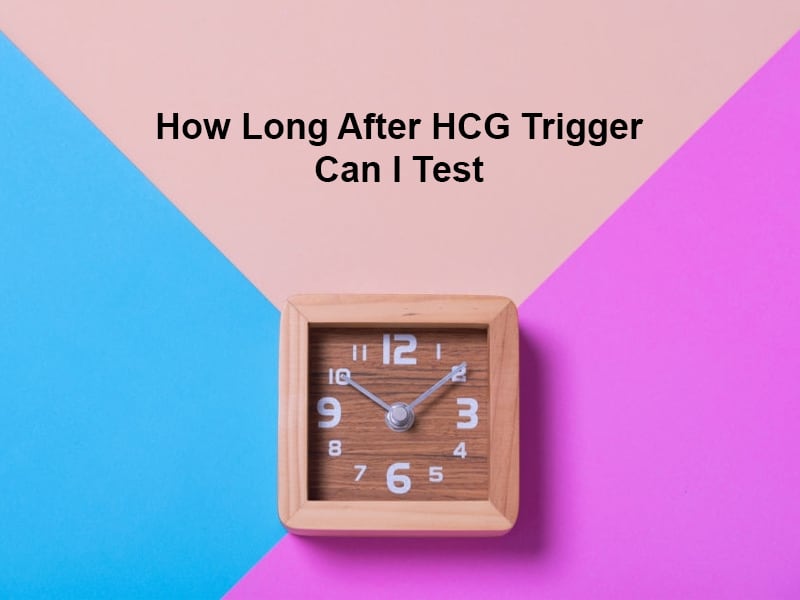 How Long After HCG Trigger Can I Test