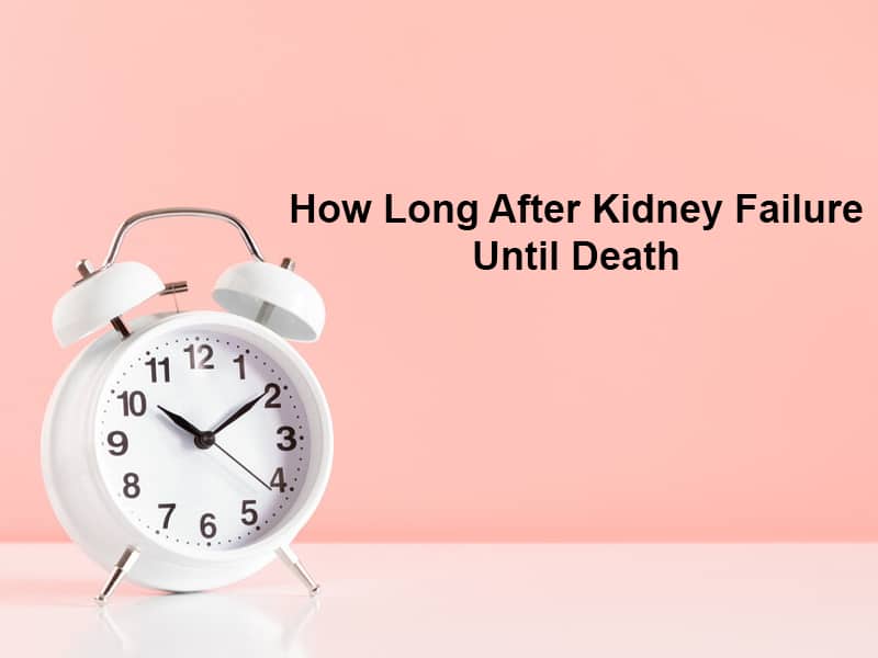 How Long After Kidney Failure Until Death