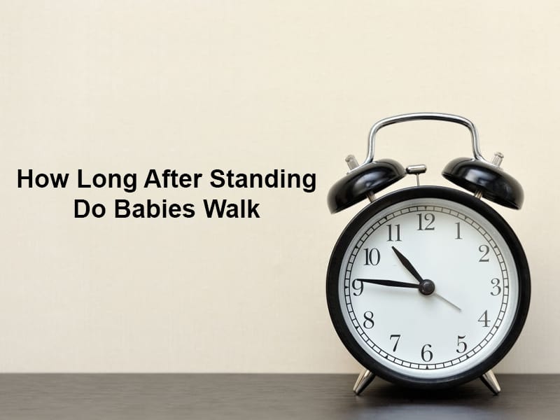 How Long After Standing Do Babies Walk