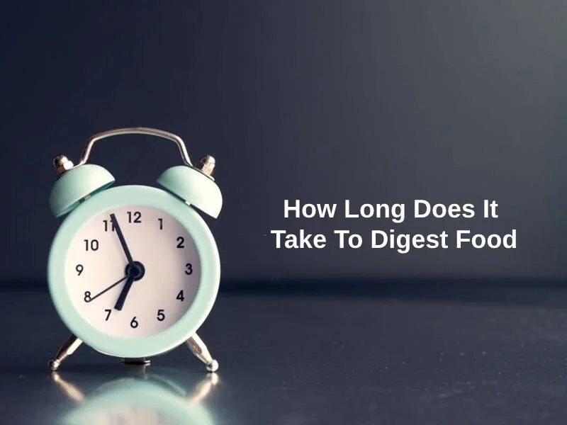How Long Does It Take To Digest Food