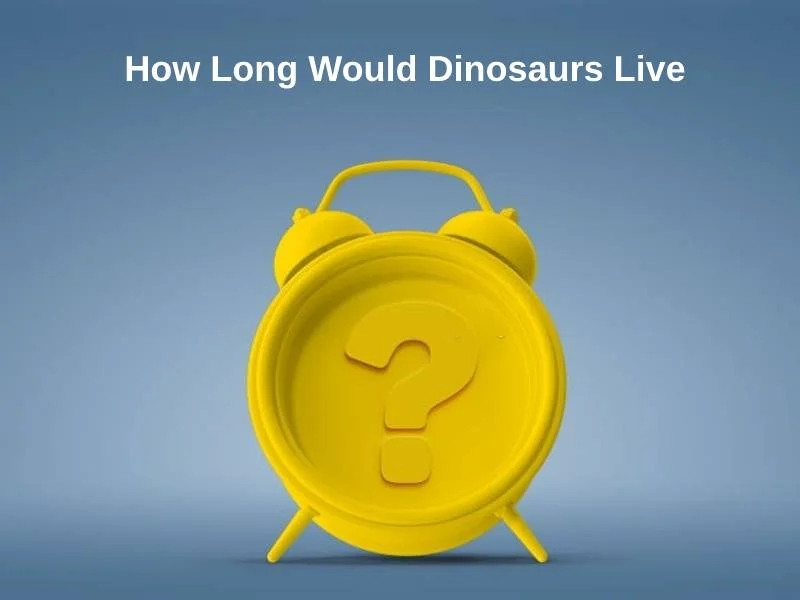 How Long Would Dinosaurs Live