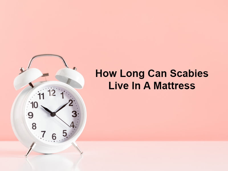 How Long Can Scabies Live In A Mattress