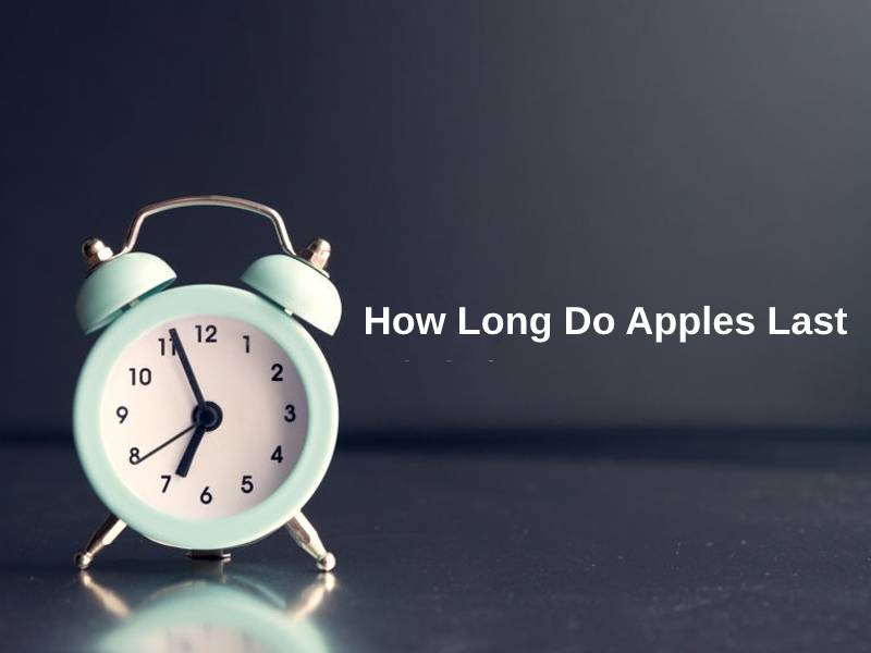 How Long Do Apples Last