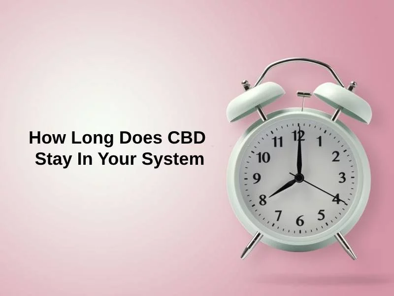 How Long Does CBD Stay In Your System