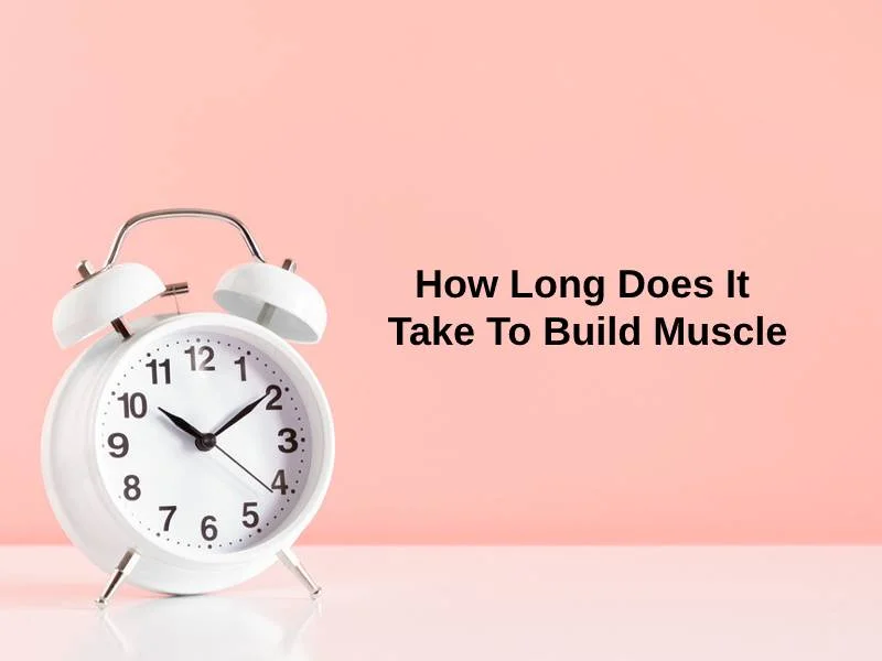 How Long Does It Take To Build Muscle