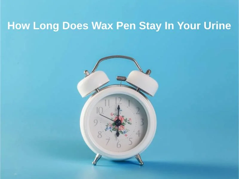 How Long Does Wax Pen Stay In Your Urine