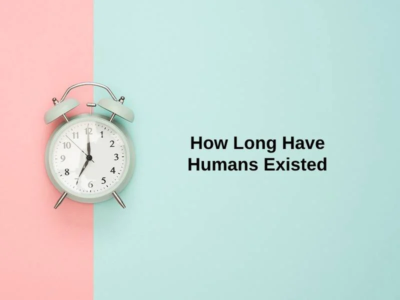 How Long Have Humans