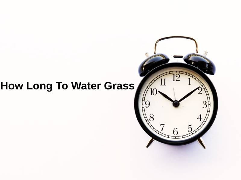 How Long To Water Grass