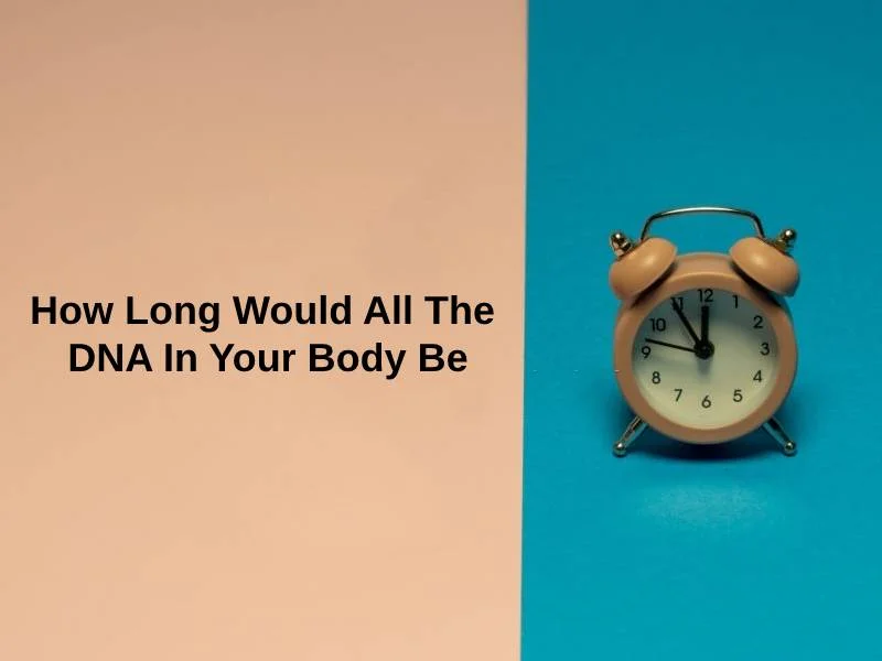 How Long Would all the dna in your body be
