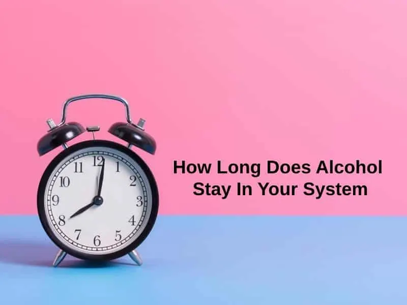 how long does alcohol stay in your system