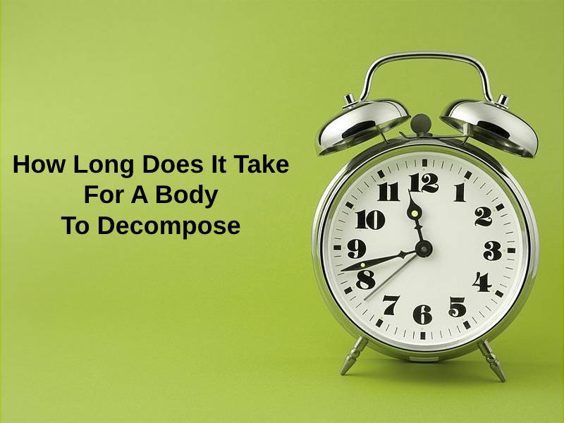 how long does it take for a body to decompose