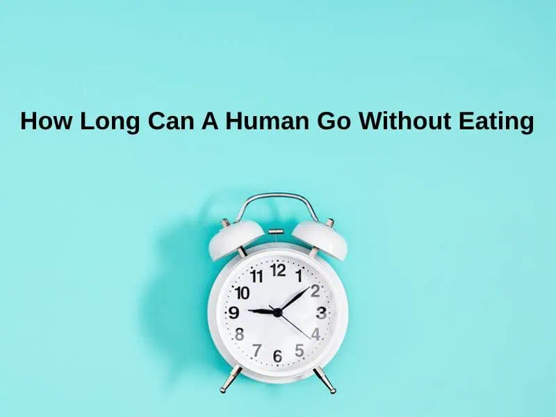 How Long Can A Human Go Without Eating