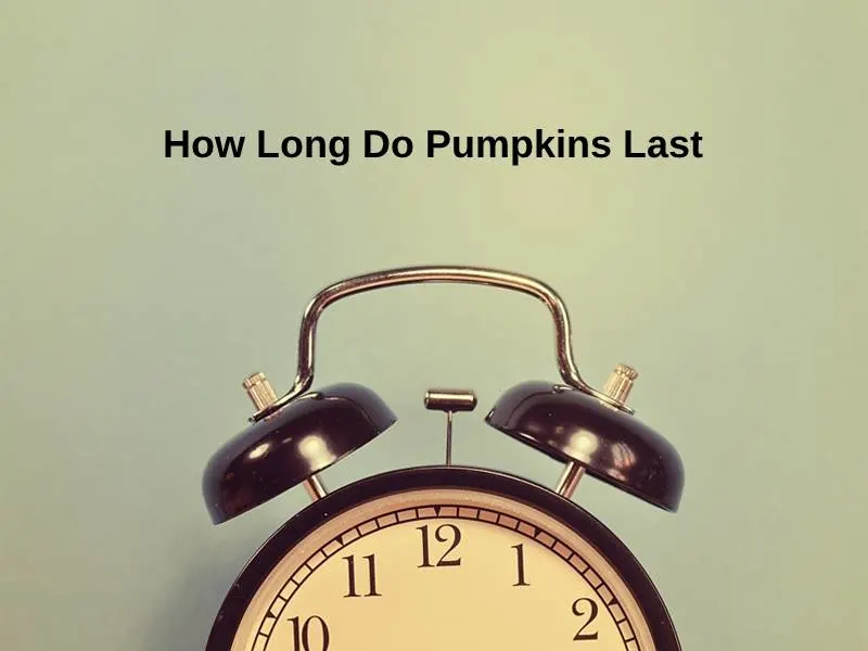 How Long Do Pumpkins Last