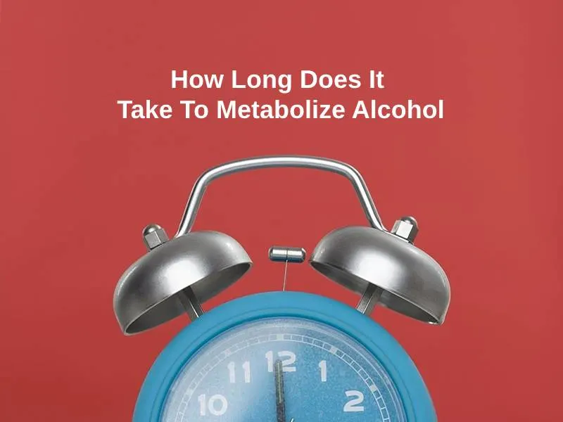 How Long Does It Take To Metabolize Alcohol