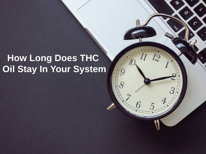 How Long Does THC Oil Stay In Your System