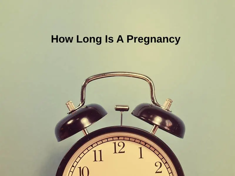 How Long Is A Pregnancy