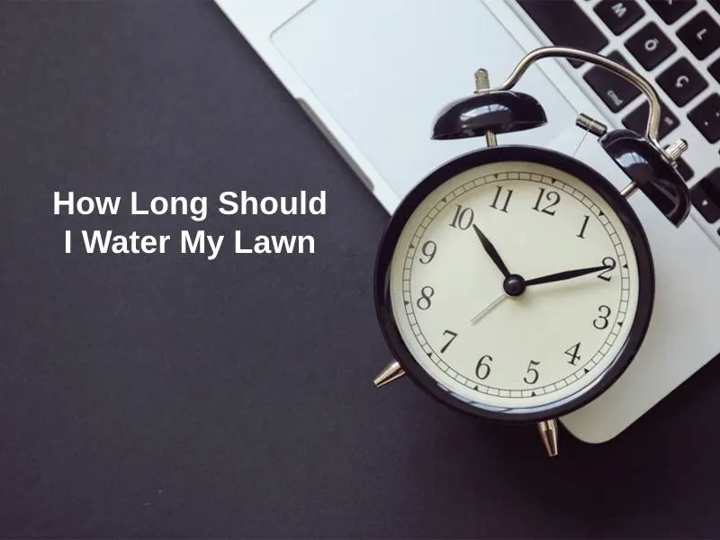 How Long Should I Water My Lawn