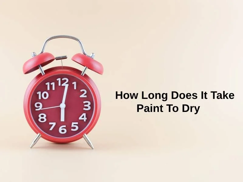 how long does it take paint to dry