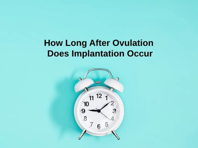 How Long After Ovulation Does Implantation Occur