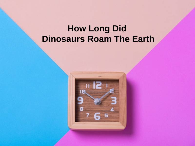 How Long Did Dinosaurs Roam The Earth