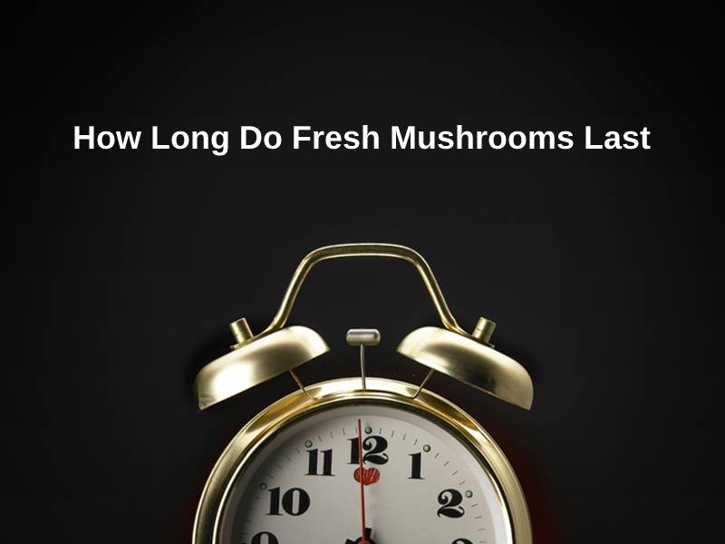 How Long Do Fresh Mushrooms Last