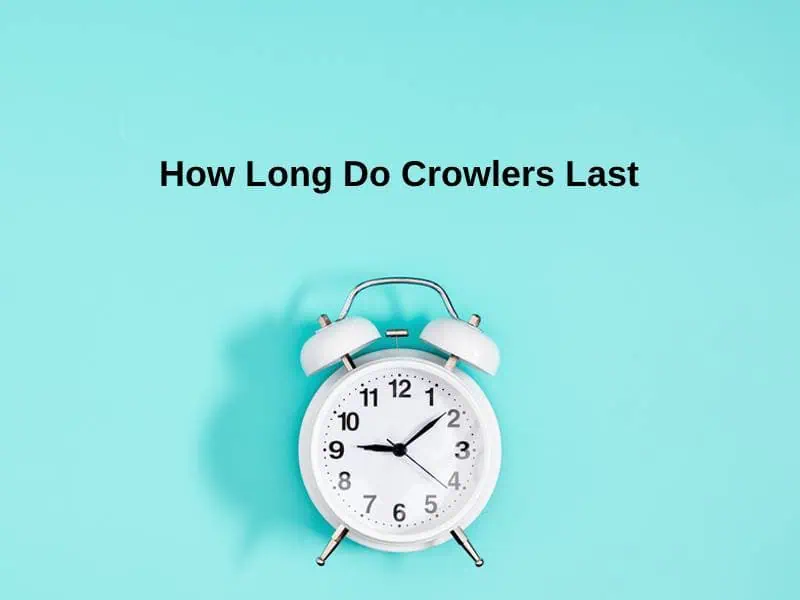 How Long Do Crowlers Last