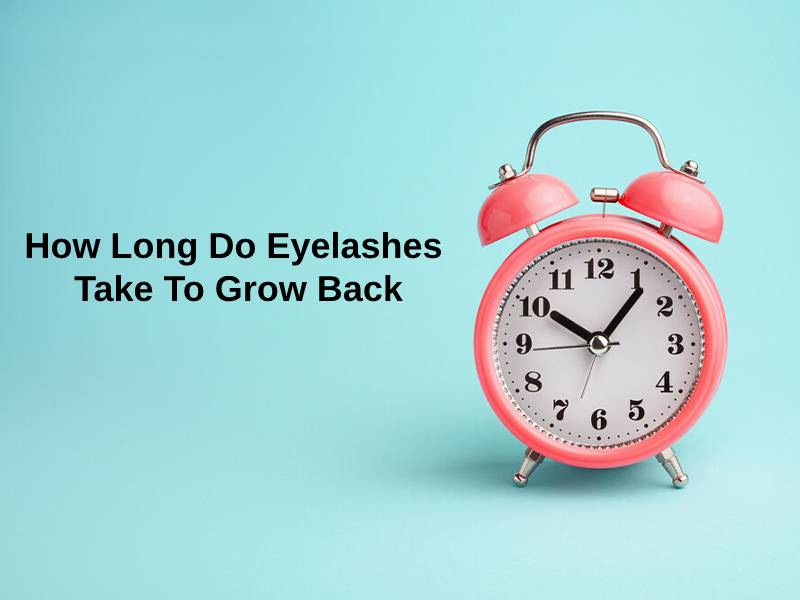 How Long Do Eyelashes Take To Grow Back
