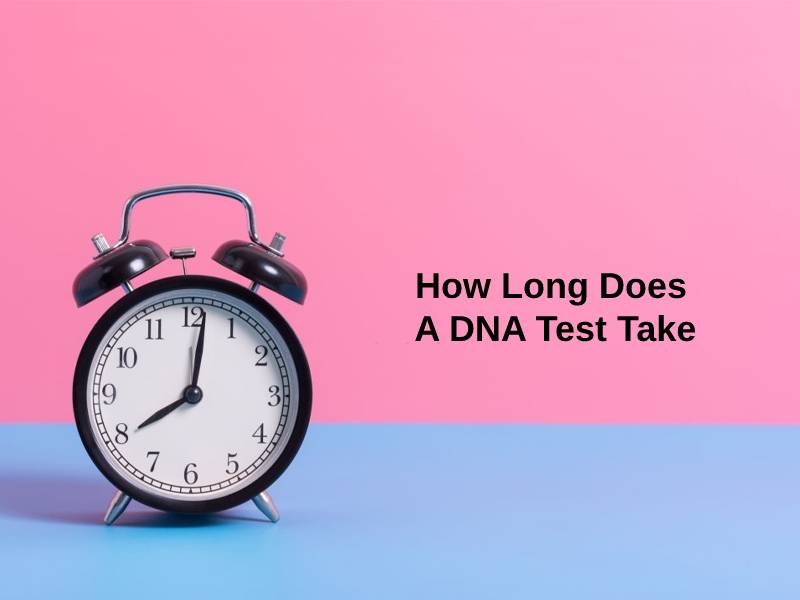 How Long Does A DNA Test Take