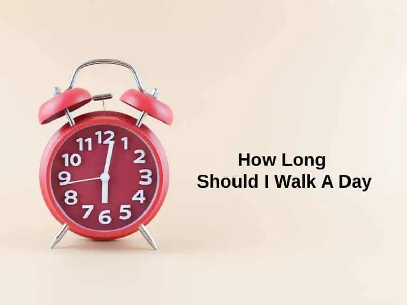 How Long Should I Walk A Day