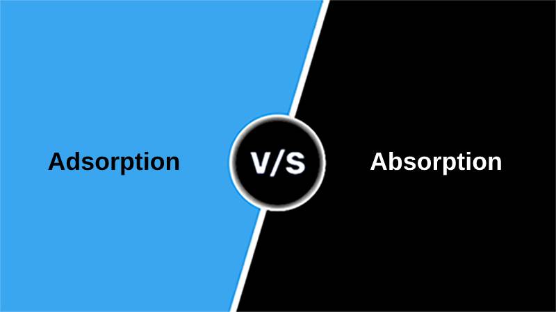 Difference Between Adsorption and Absorption