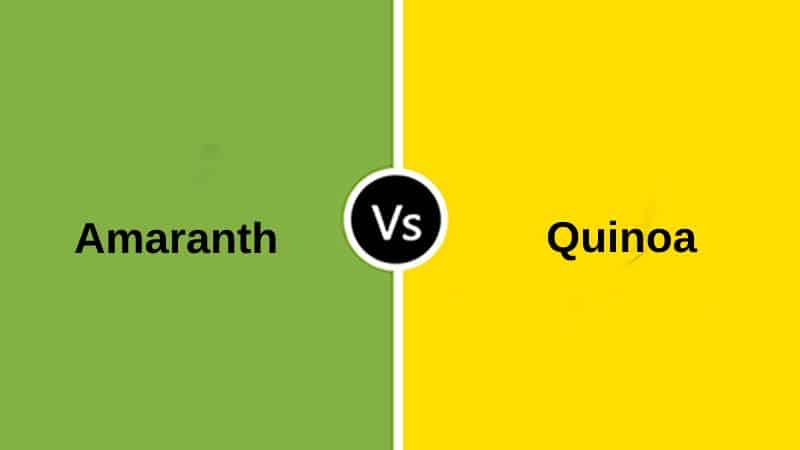 Difference Between Amaranth and Quinoa