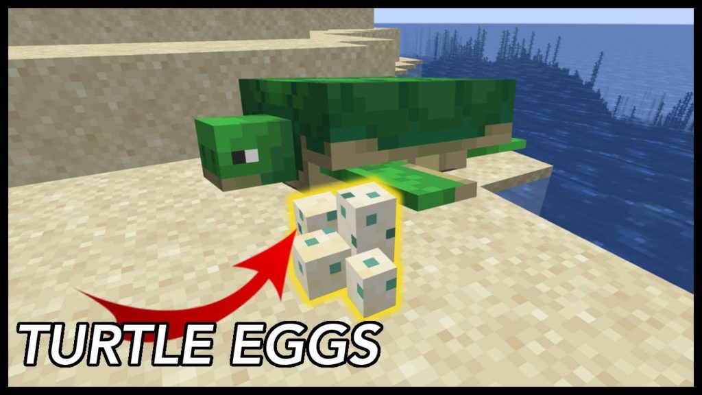 Hatch the Turtle Eggs