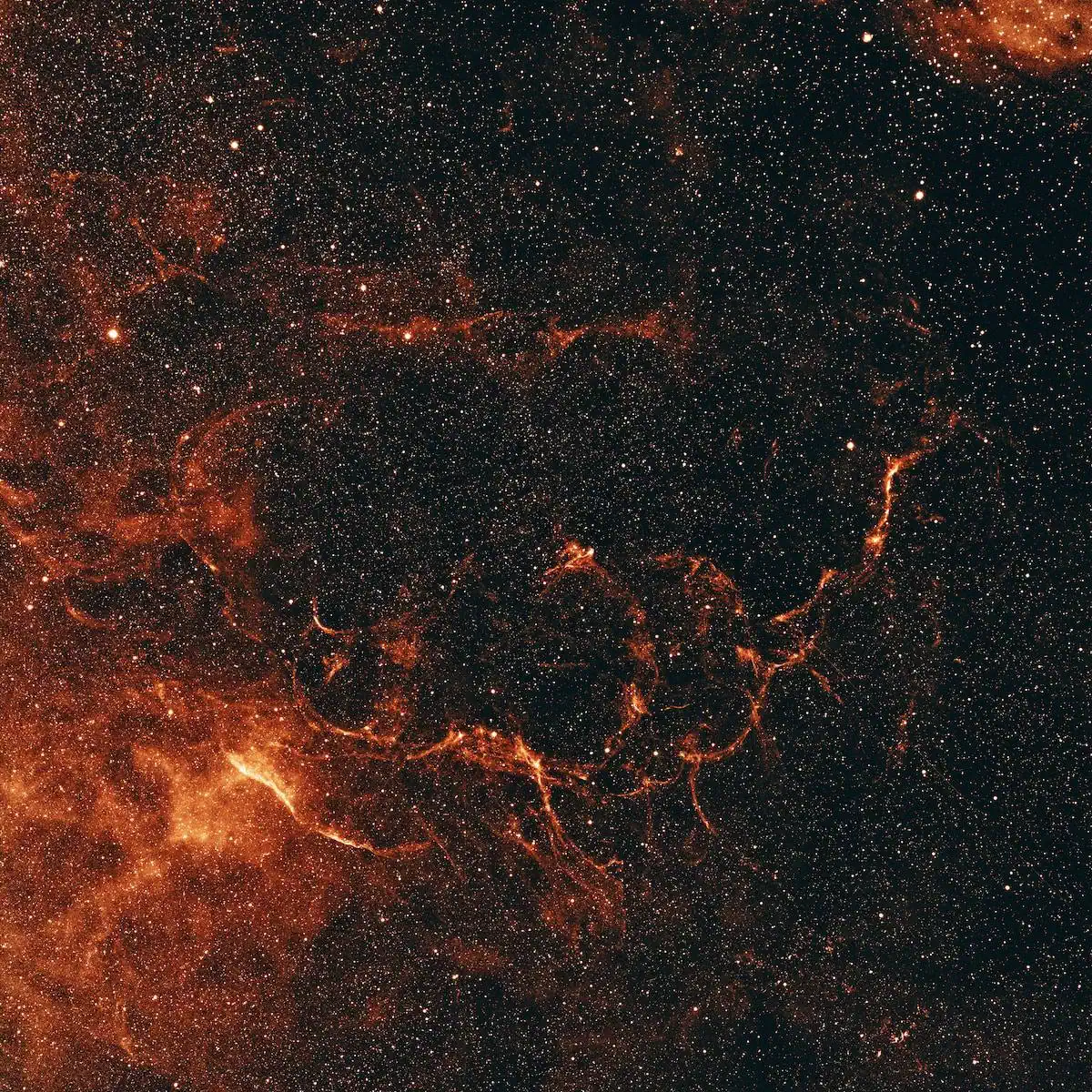 Betelgeuse Supernova