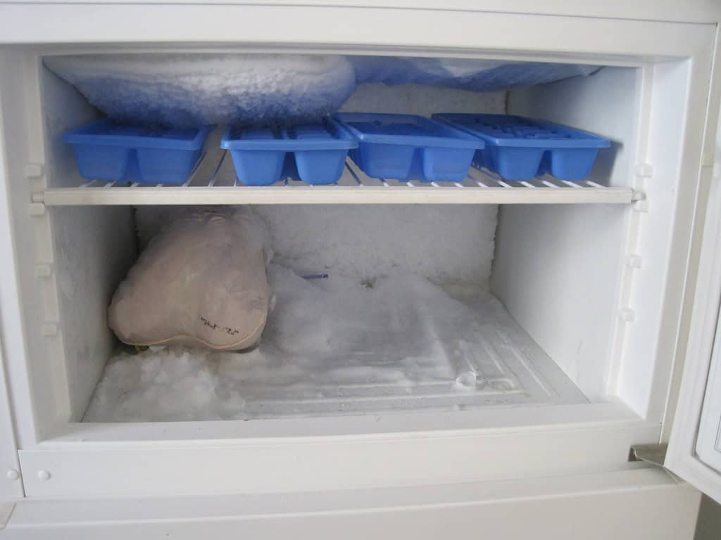 Turkey In The Freezer