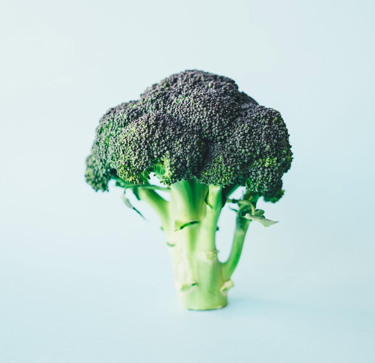 Steam Broccoli