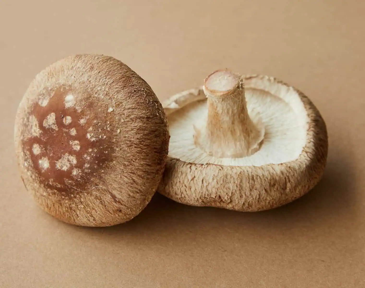 High angle of delicious raw mushrooms with spotted caps placed on light brown background
