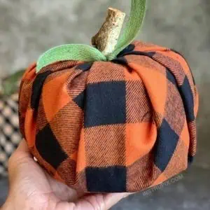 fall toilet paper roll pumpkin covers