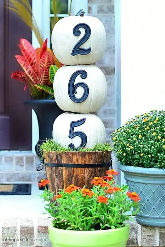 40+ NO CARVE Pumpkin Ideas You'll Want to Try This Fall!! At The Picket Fence Street Address Pumpkin Topiary