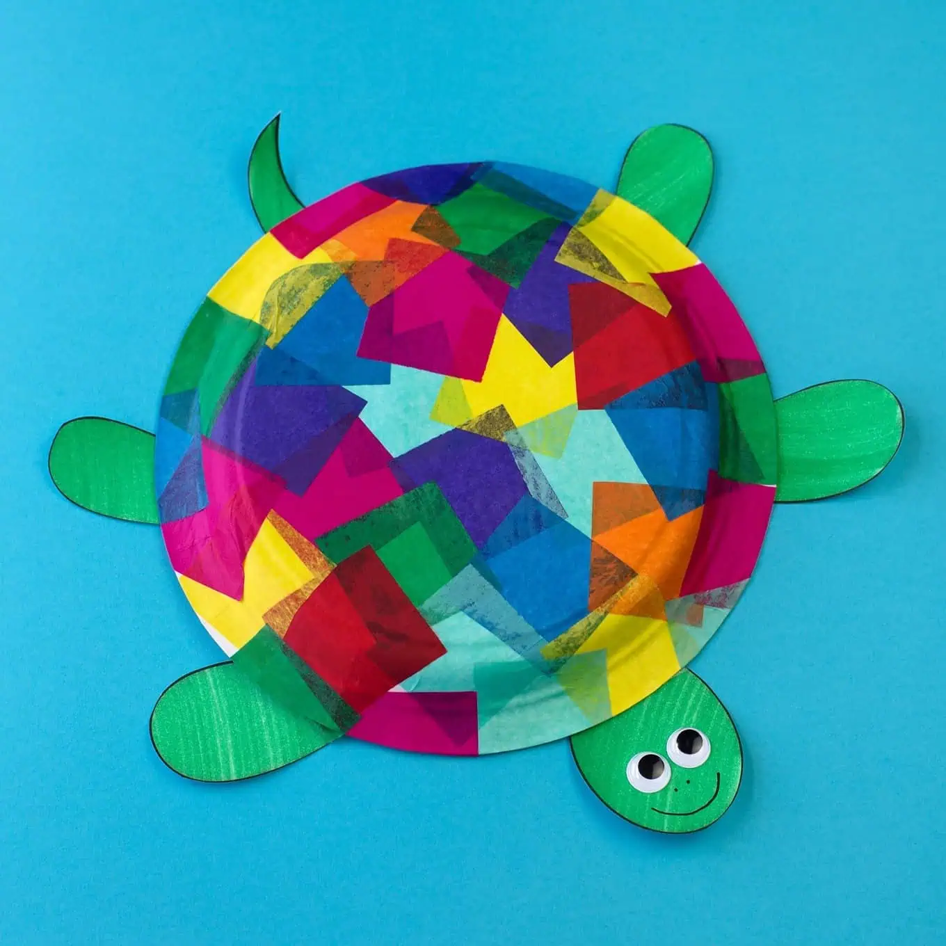 tissue paper shell for a turtle 