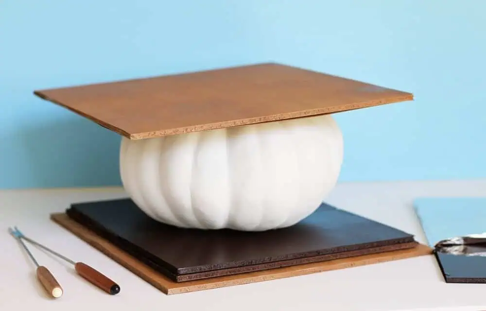 s'more pumpkin - great idea for a no-carve fall pumpkin