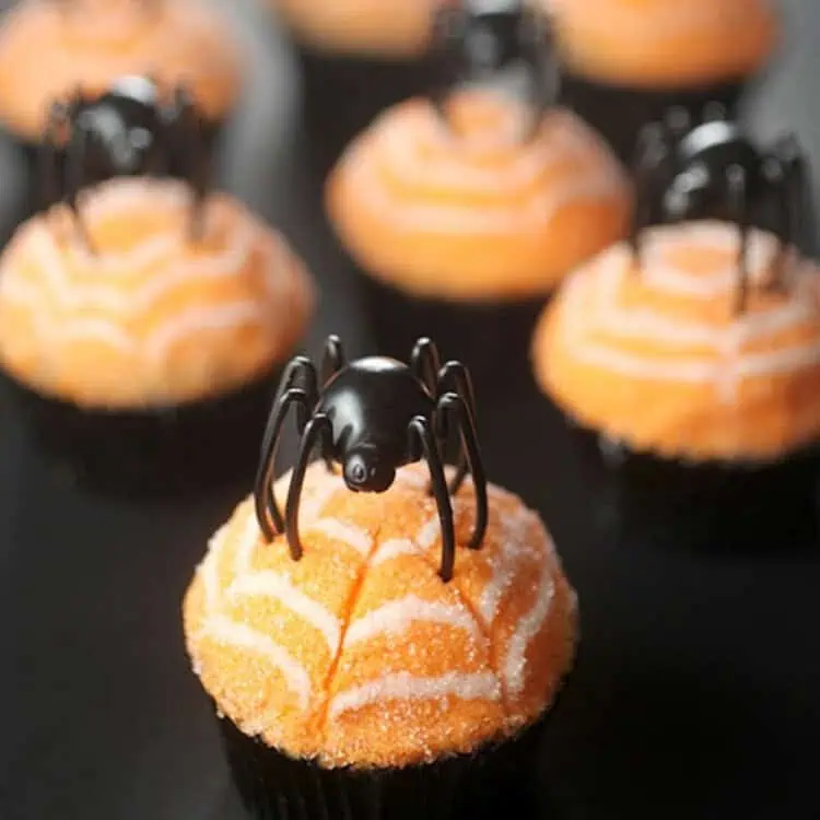 orange spider web cupcake toppers