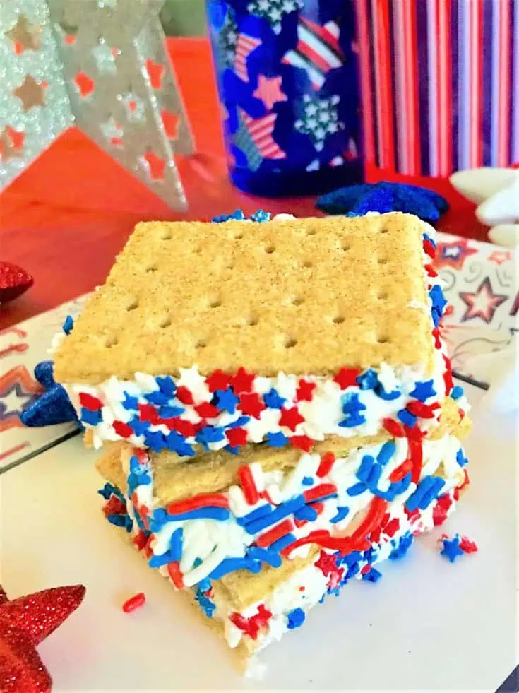 red white blue graham cracker table close up long