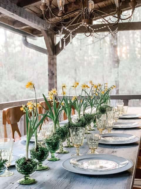 Easter Tablescape ideas, blooming daffodil bulbs are placed in vintage green glass bowls with moss down the center of the table. White and glass plates at each place setting with amber glasses.