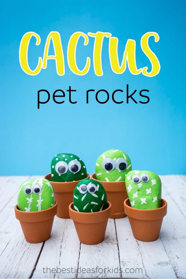 Cactus Pet Rocks