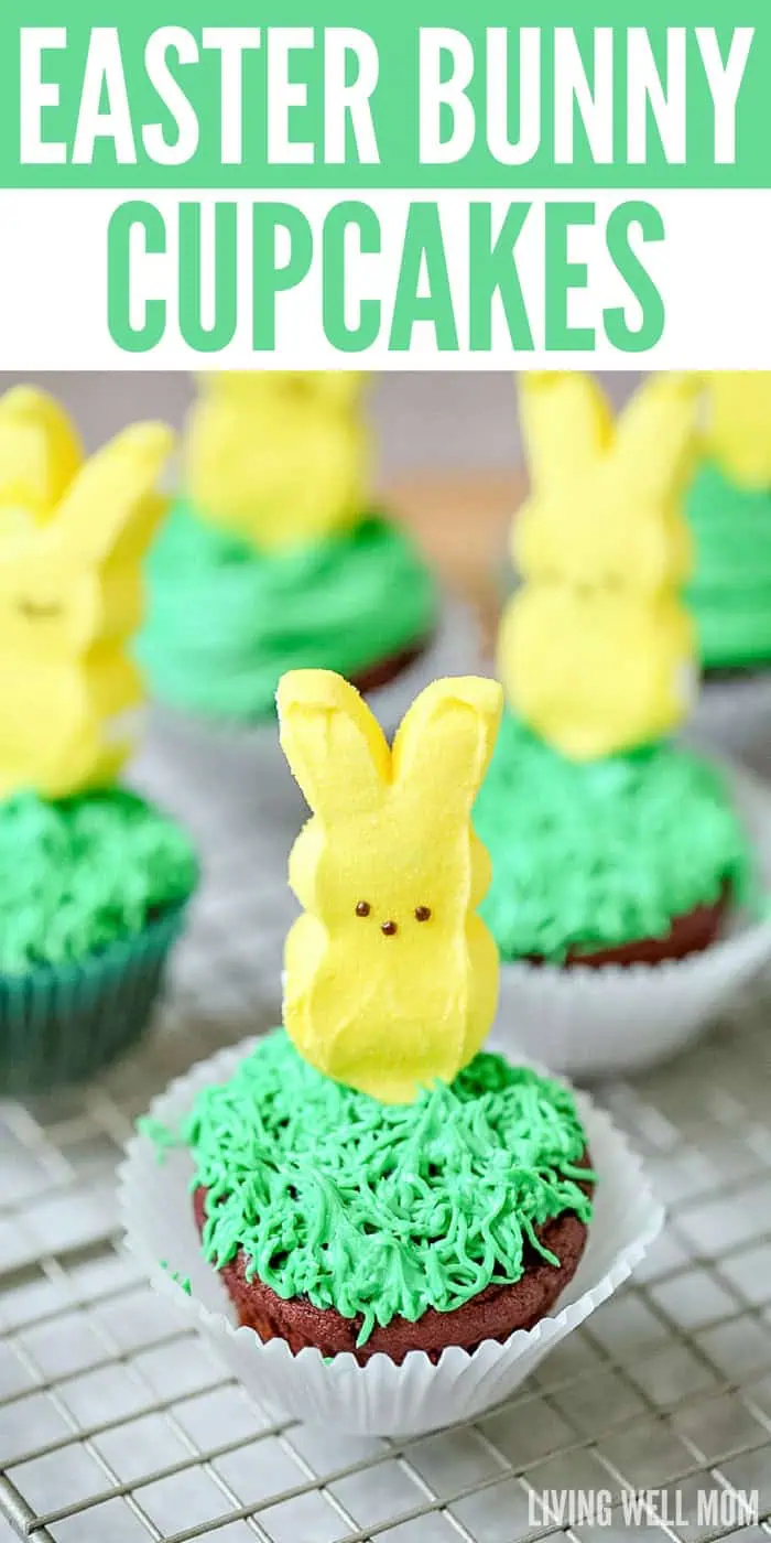 Easter Bunny Cupcakes Main