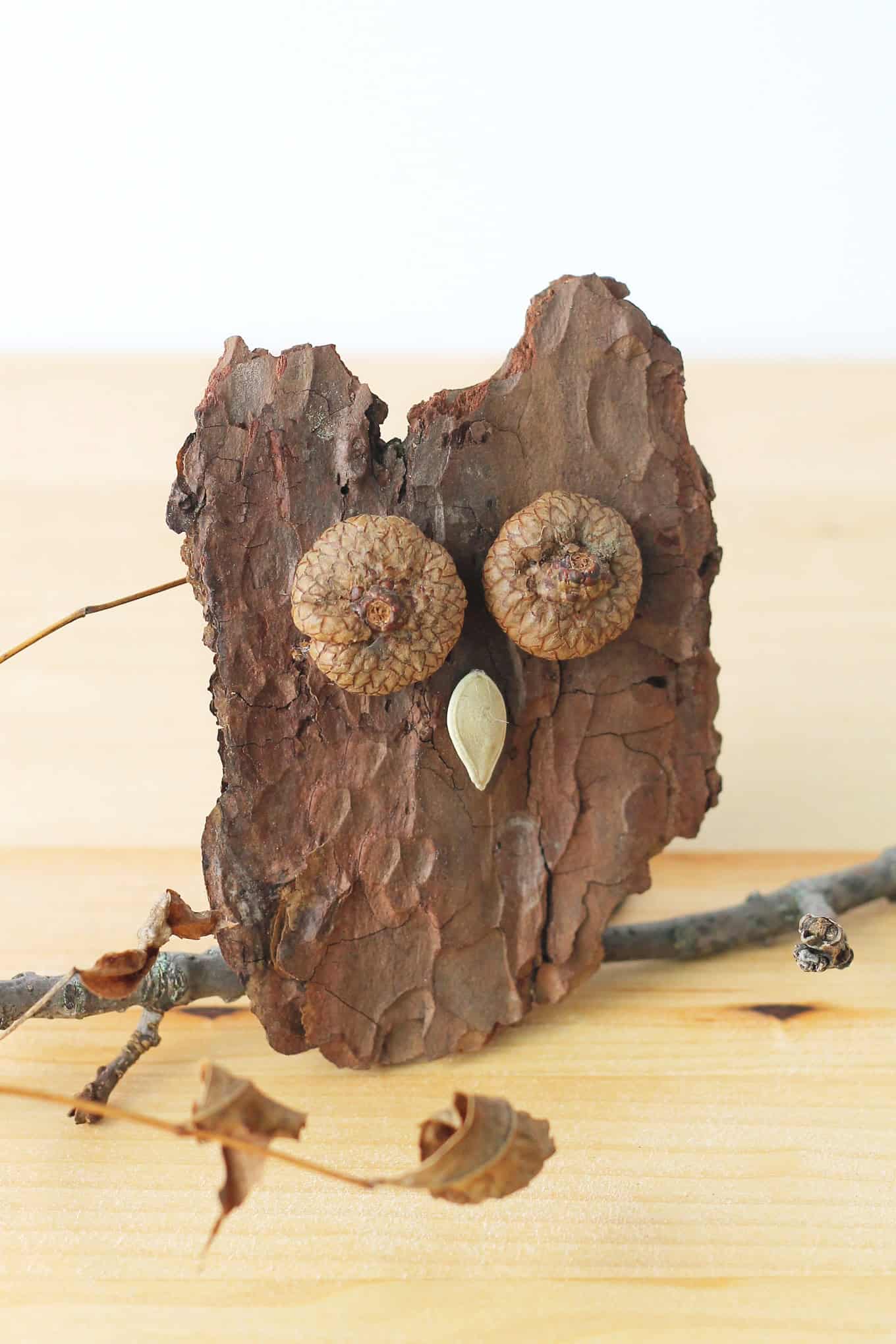 Nature Owl Craft for Kids 2