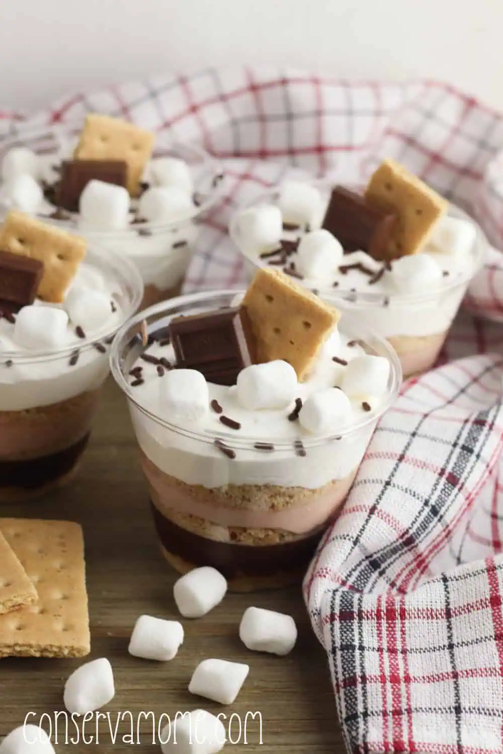 Smores Pudding Cups An easy Party Dessert Idea 4