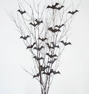 Bats on branches in a vase